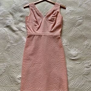 Gorgeous Pink and white Gingam J. Crew dress